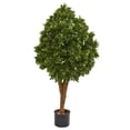 thumbnail image 1 of Nearly Natural 9143 Arbre Artificiel de Feuilles de Thé de 41 Po, 1 of 1