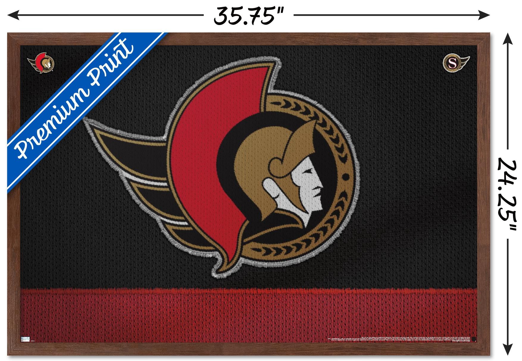 NHL Ottawa Senators - Logo 20 Wall Poster, 22.375" x 34", Framed