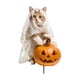 thumbnail image 4 of Estatua de gato con sombrero de bruja de metal para decoración de jardín de Halloween con calabaza para patio, patio, estaca de tierra, decoración navideña al JASKFLY, 4 of 9
