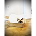 thumbnail image 2 of Large Disposable Cat Litter Boxes- Set of 20- Travel Kitty Tray, 2 of 9