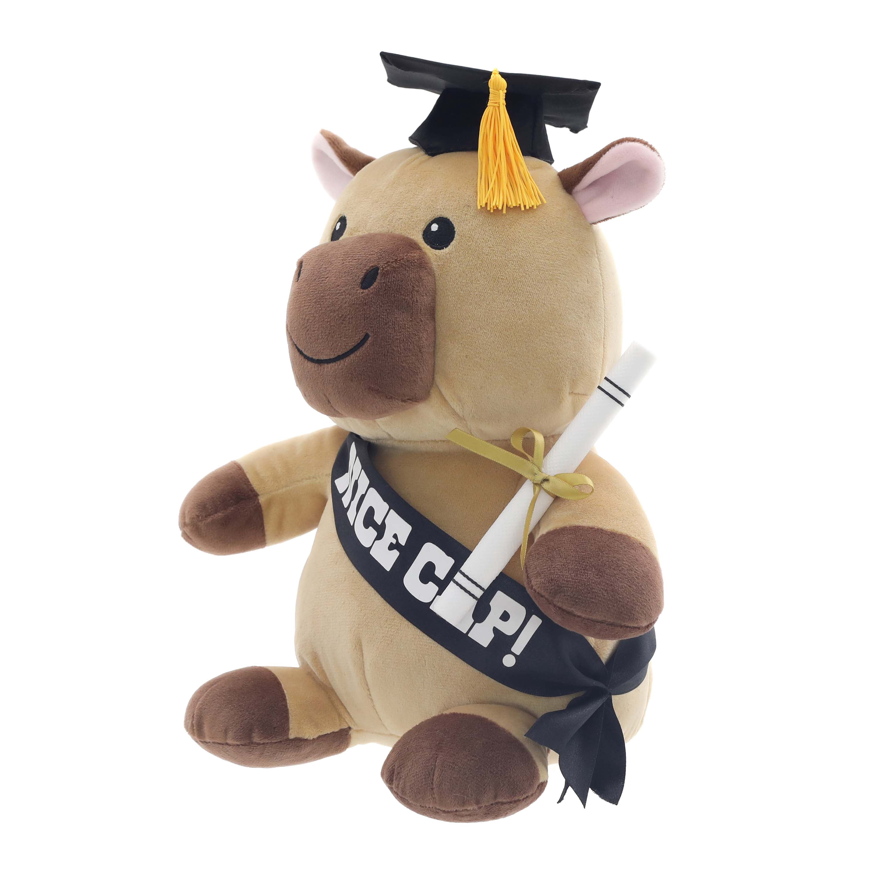 Class of 2026 Graduation Capybara Plush in Gift Box by Way to Celebrate