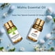 thumbnail image 4 of Natural Del Aceite Esencial 5ml 10ml para El Difusor Del Coche Del Del Salón - Árbol de té Macarena Aceite esencial de rosa para masajes, 4 of 8