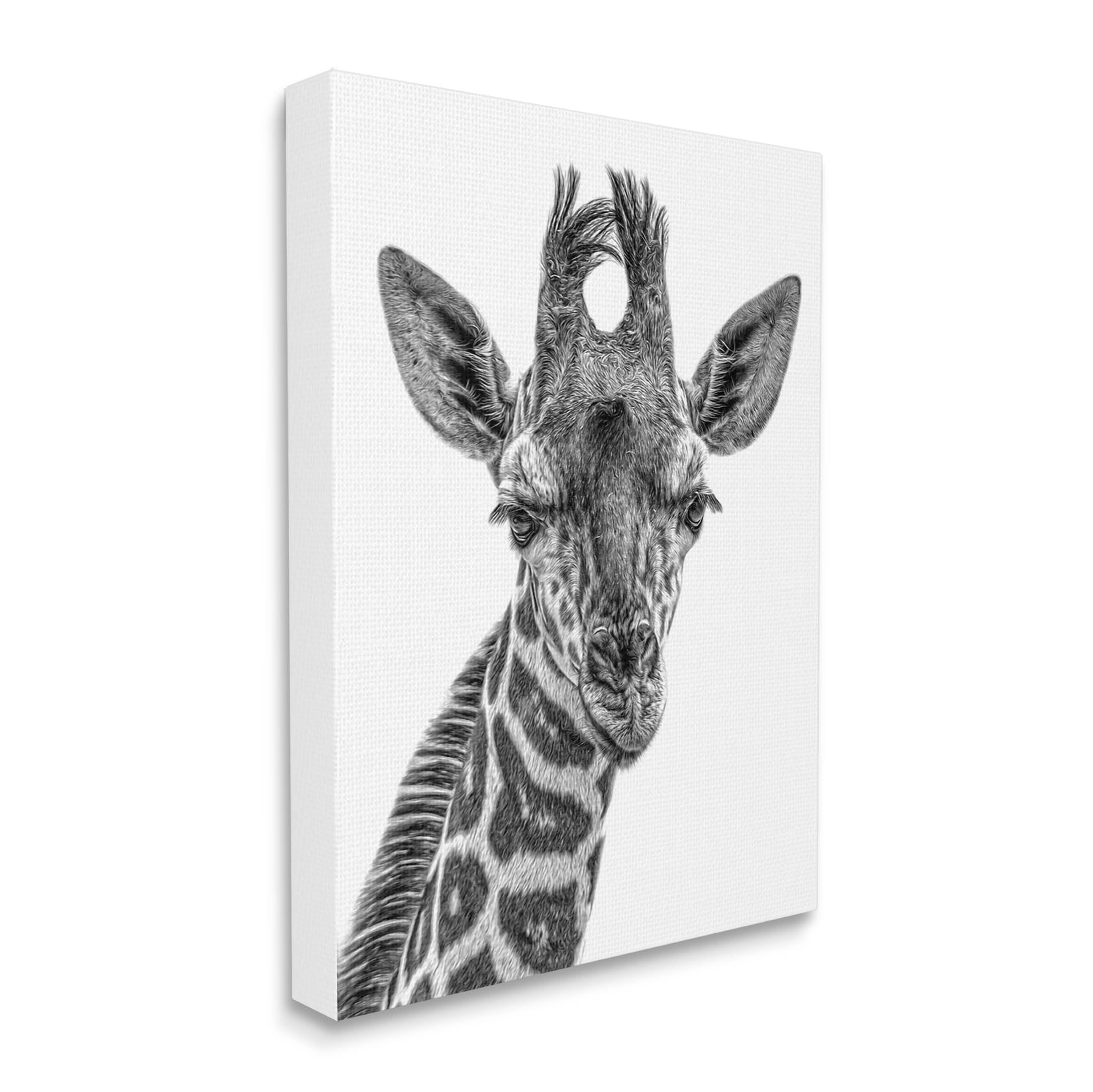 Stupell Industries Giraffe Gazing Wildlife Portrait Photograph Gallery Wrapped Canvas Print Wall Art, Design by Kelley Parker