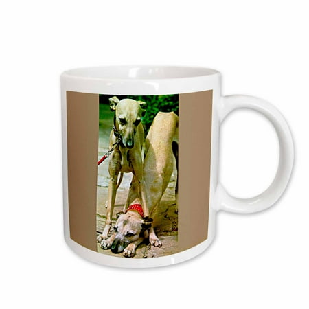 

3dRose Whippet - Ceramic Mug 15oz (mug_518_2)