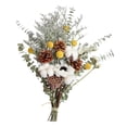 thumbnail image 1 of Tallos Flores secas naturales de pino eucalitto Margarita Flores secas decorativas Mini ramo de manualidades florales para bodas DIY Cono de pino, 1 of 4