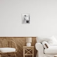 thumbnail image 2 of Elegant White Horse Stallion Animals & Insects Photograph White Framed Art Print Wall Art, 2 of 7