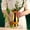 Gold, variant on Qczoyp Stainless Steel Tabletop Flower Vase, Nordic Minimalist Metal Decor Vase for Fresh Flowers Dried Stems, Home Living Room Dining Bar Wedding Centerpiece & Housewarming Decor Gift (Rainbow)