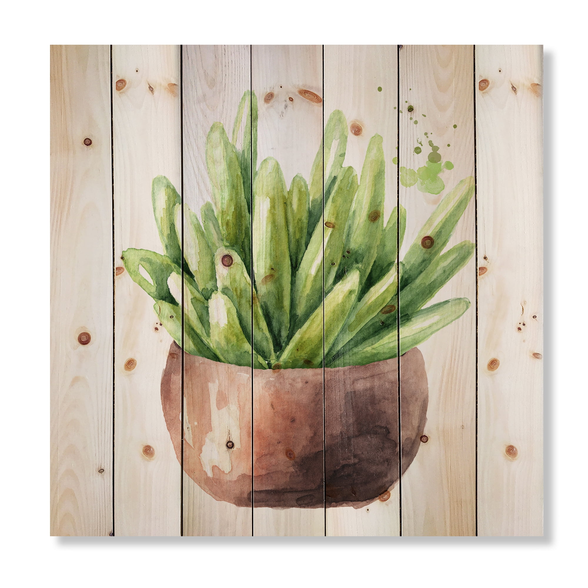Designart 'Succulent Flower In Terracotta Clypot I' Traditional Print on Natural Pine Wood