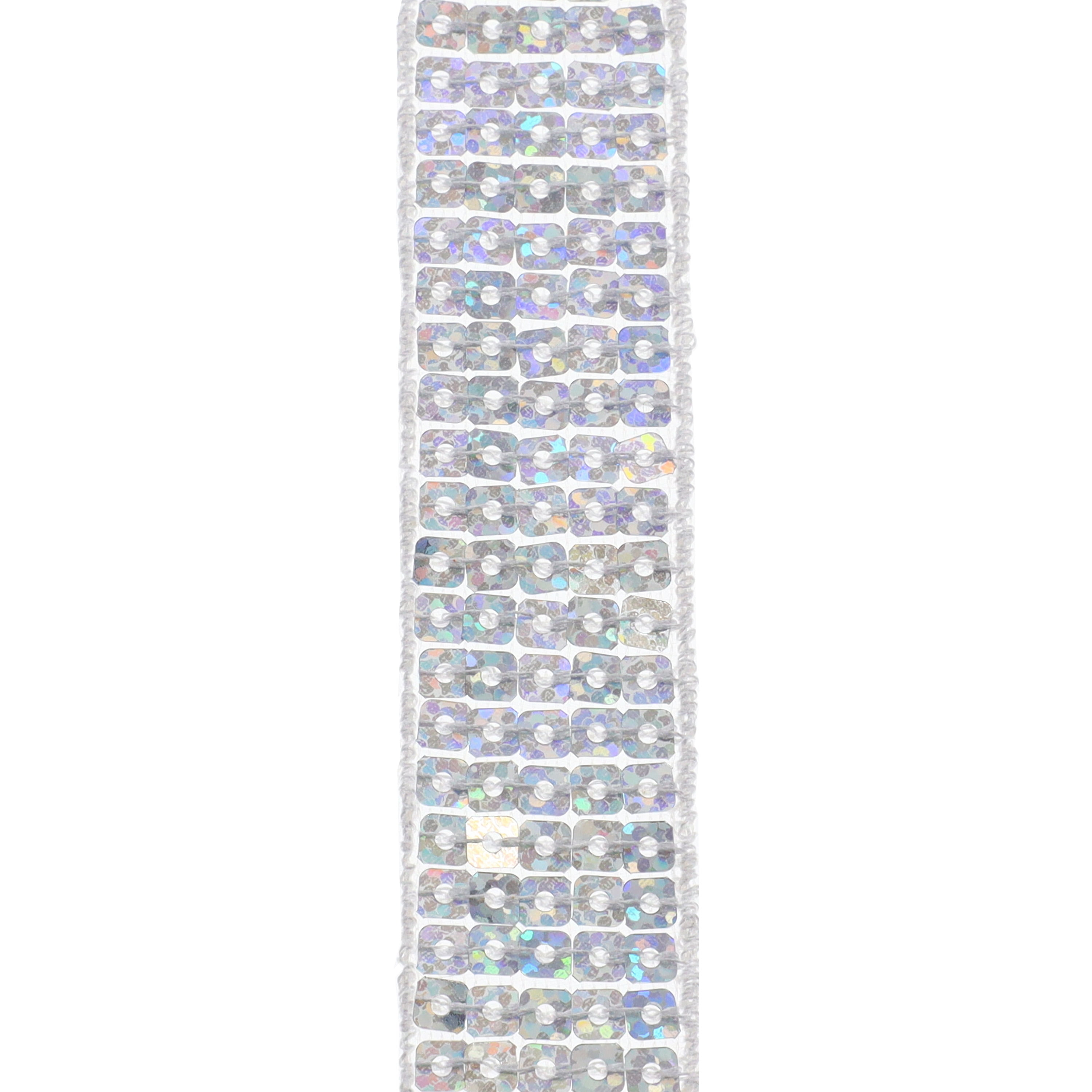 1 Silver Fancy Sequin Trim