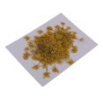 thumbnail image 1 of 6 Piezas Secas Prensadas, Adornos De Zanahoria Real Para Adornos De Bricoje, Fabricación , Fabricación De Amarillo Gloria Flores secadas prensadas naturales, 1 of 9