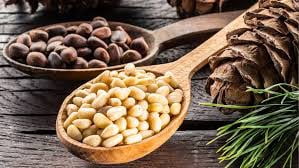 Bulk Pine Nuts (Pignolias) 10 Pound Wholesale Box