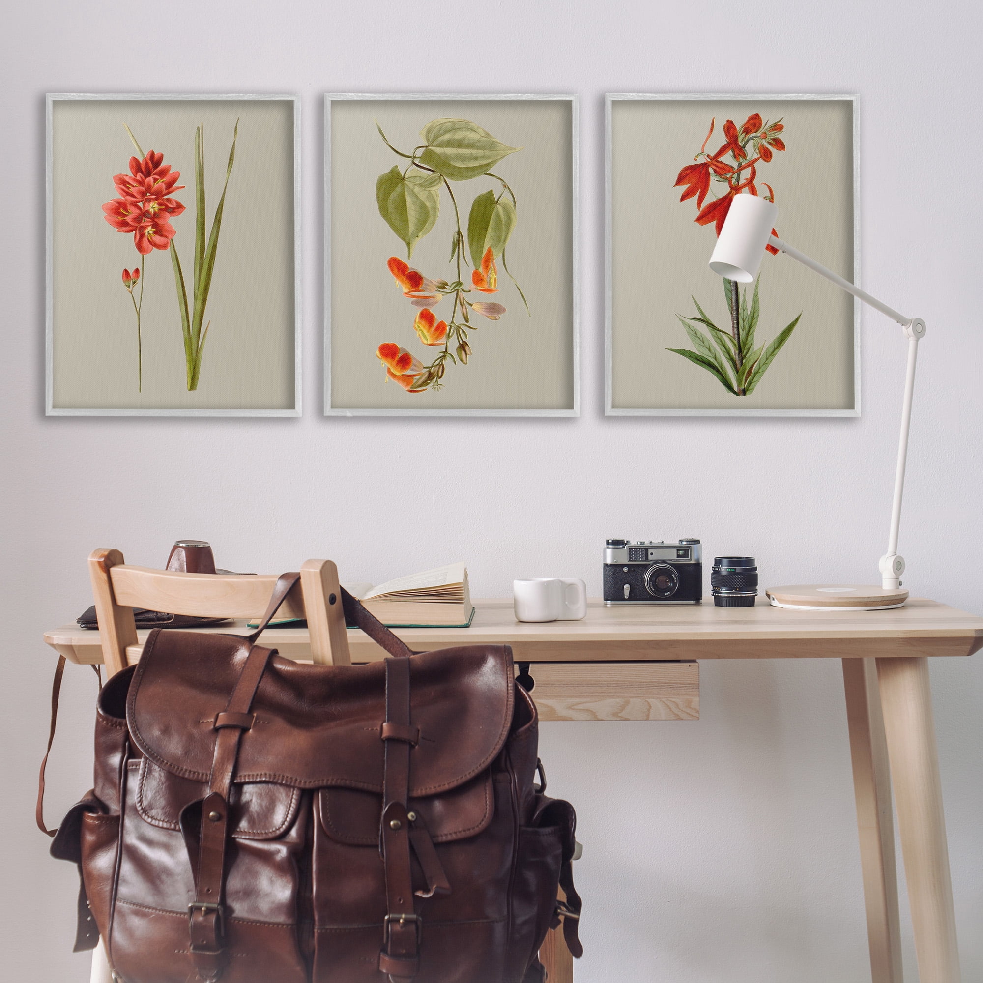 Stupell Industries Woodland Flower Study Botanical & Floral Painting Gray Framed Art Print Wall Art, 24 x 30, Set of 3