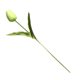 thumbnail image 4 of Flor decorativa artificial Monstrate de PU verde para banquete de boda y oficina en casa 34cm, 4 of 6