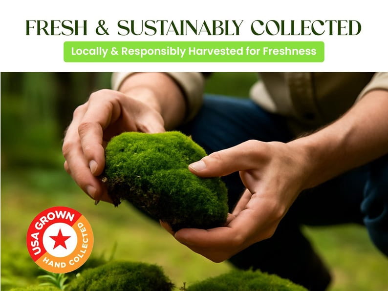 Live Moss Variety Pack for Terrariums – Fresh Live Moss – Natural Green Moss – Pet-Safe Moss for Reptile Tanks, Fairy Gardens, and Indoor Décor