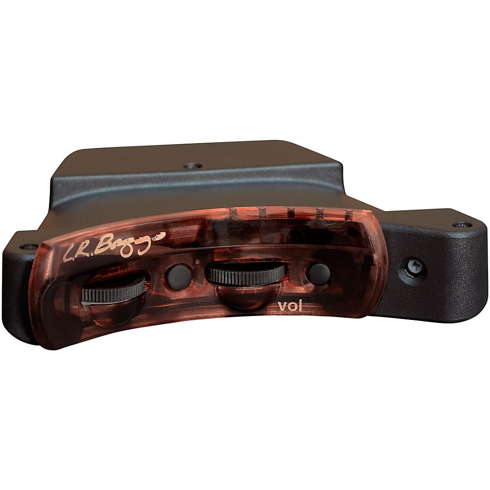 Lr Baggs Session Di Review