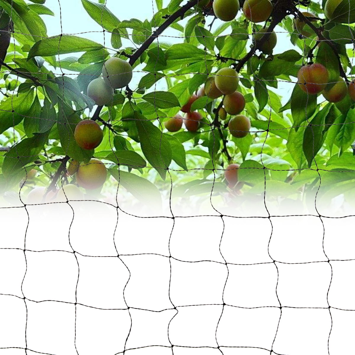 3 Size Garden Anti Bird Netting Plant Fruit Poultry Aviary Pond Net