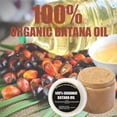 thumbnail image 2 of Aceite de batana orgánico para el crecimiento y grosor del cabello, sérum antiencrespamiento para hombres y mujeres, 1 unidad., 2 of 5