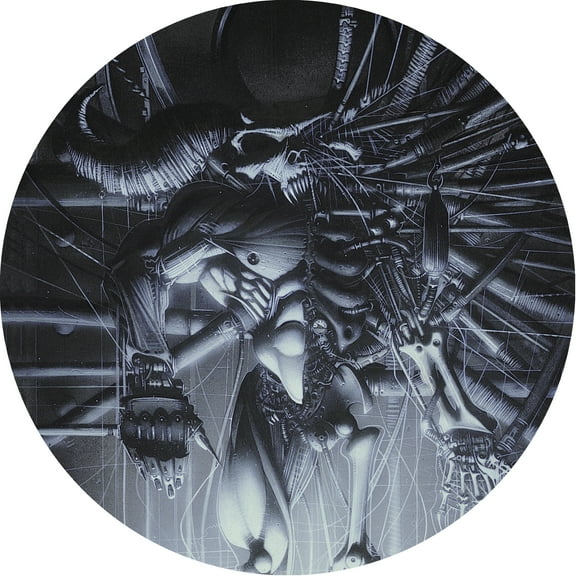 Danzig - Danzig 5: Blackacidevil (Picture Disc) - Music & Performance - Vinyl
