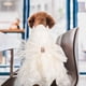 thumbnail image 5 of KAKOWELY Vestido de novia para perro, falda tutú, vestido decorativo para perro, estilo elegante, vestido de novia para cachorro., 5 of 5