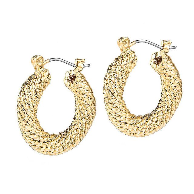 Pendientes Protección del medio ambiente Forma de U Galvanizado Legierung Joyas Para Regalo de cumpleaños ShuxiuWang 9024715398994