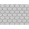 thumbnail image 1 of Ahgly Company Machine Washable Indoor Rectangle Transitional Platinum Gray Area Rugs, 2' x 5', 1 of 7