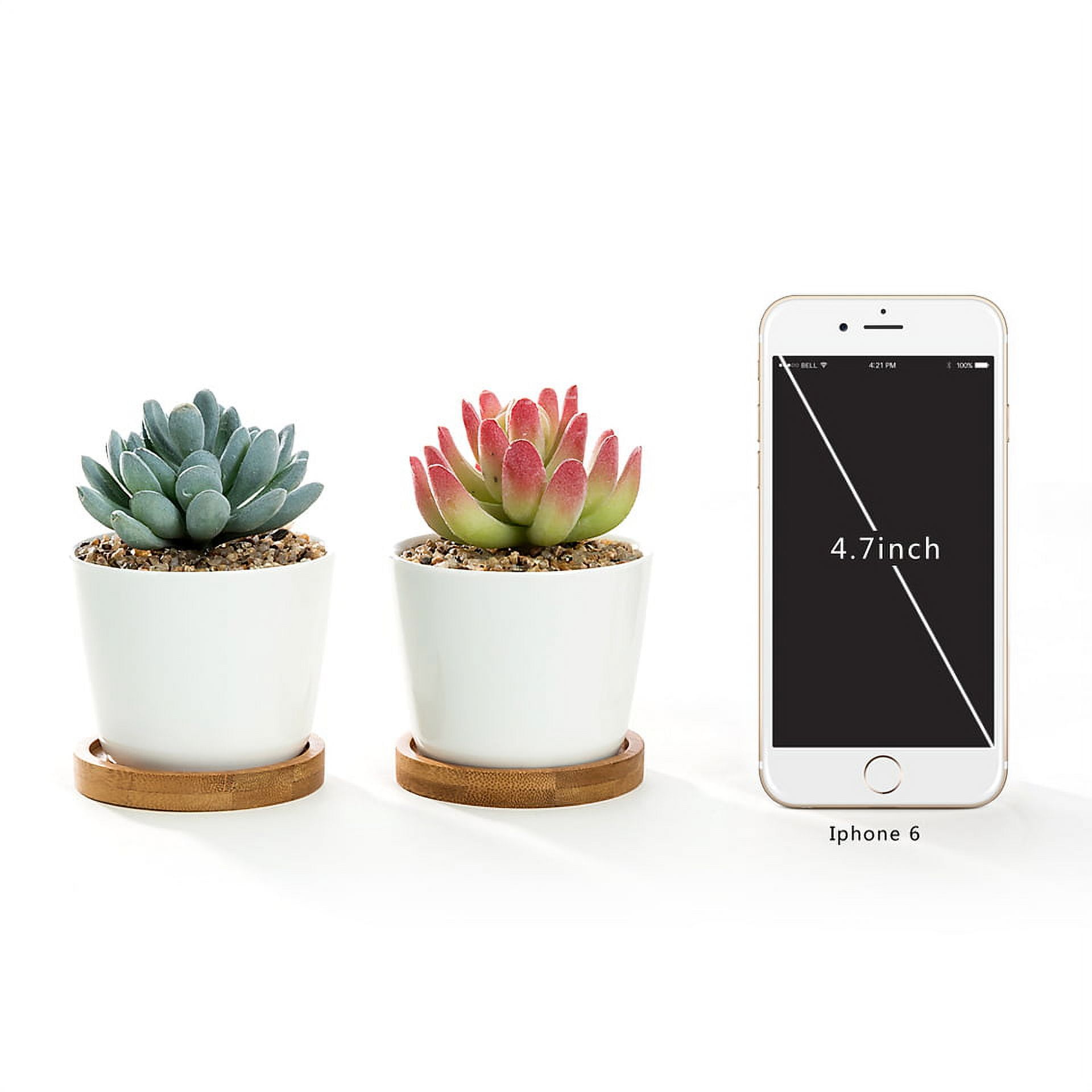 K-Cliffs White Modern Oval Ceramic Succulent  Pots with Bamboo Tray, Set of 2, 3.5Dia x 3H inches, Pot- 3.5Dia x 2.6H inches, Saucer- 3.5Dia x 0.5H inches"
