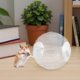 thumbnail image 2 of Hamster Silent Exercise Wheel: Clear Plastic Running Ball for Small Pets - Fun Activity Fitness Toy for Hamsters Gerbils Squirrels, 2 of 3