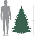 thumbnail image 4 of Northlight 5' Winona Fir Artificial Wall Christmas Tree, Unlit, 4 of 4