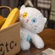 thumbnail image 1 of Juguete de peluche de gato de 25CM con simulación de bolsillo, juguete de peluche de gato, juguetes de peluche de gato, 1 of 7