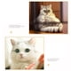 thumbnail image 5 of Juguete para gatos, túnel para gatos, túnel ecológico seguro para gatos, túnel de juego para mascotas, muy recomendado, 5 of 5