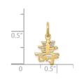 thumbnail image 3 of 14k Yellow Gold Solid Polished Chinese Long Life Charm, 3 of 4