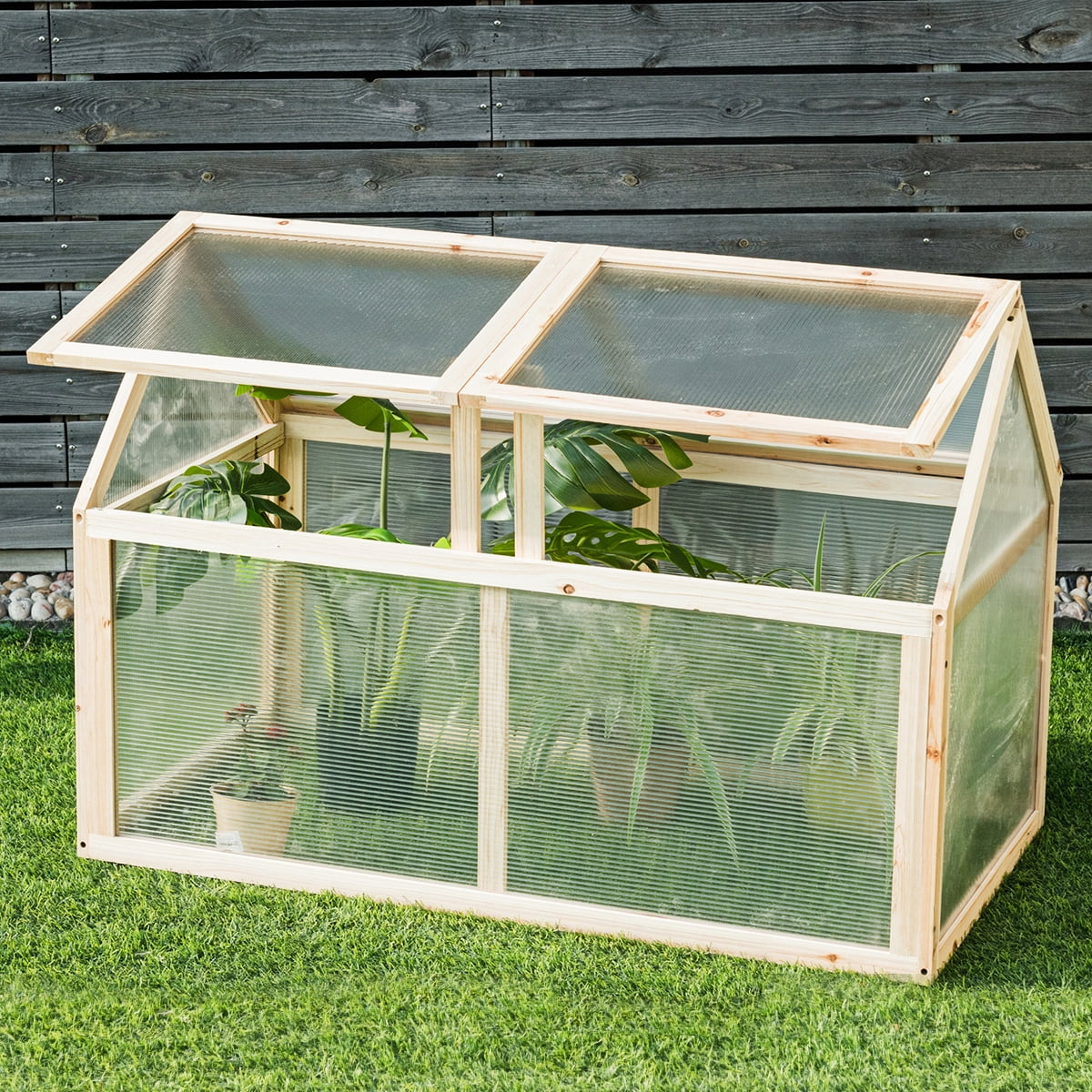 Mini Serre en bois avec Vitrages Transparents Amovible en