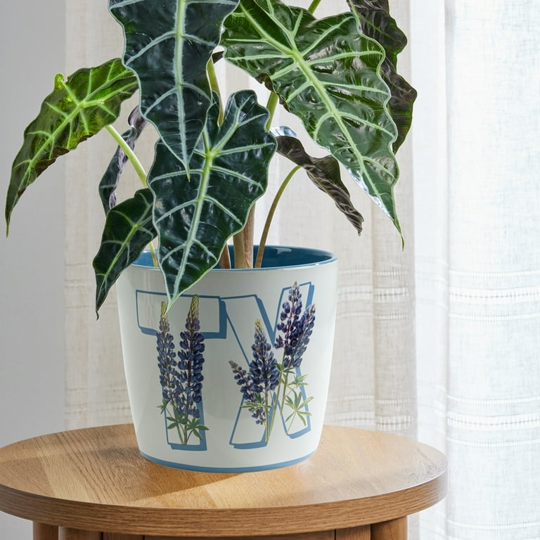 Mainstays 8 inch Texas Bonnet Ceramic Planter - Walmart.com