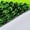 Green, variant on Ramiter Girls' Sneakers Fashion Autumn Children Girls Sports Shoes Flat Thick Bottom Lightweight Non Slip Lace up Hook Loop Easy To Wear Colorblock Mesh upper Breathable Shoes,Green
