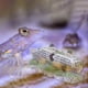 thumbnail image 3 of de barco creativo Artesanía de resina Barco Paisajismo Regalos Colecciones Adornos de para pecera Acuario - 19x6x8cm Yinane Naufragio del barco, 3 of 7