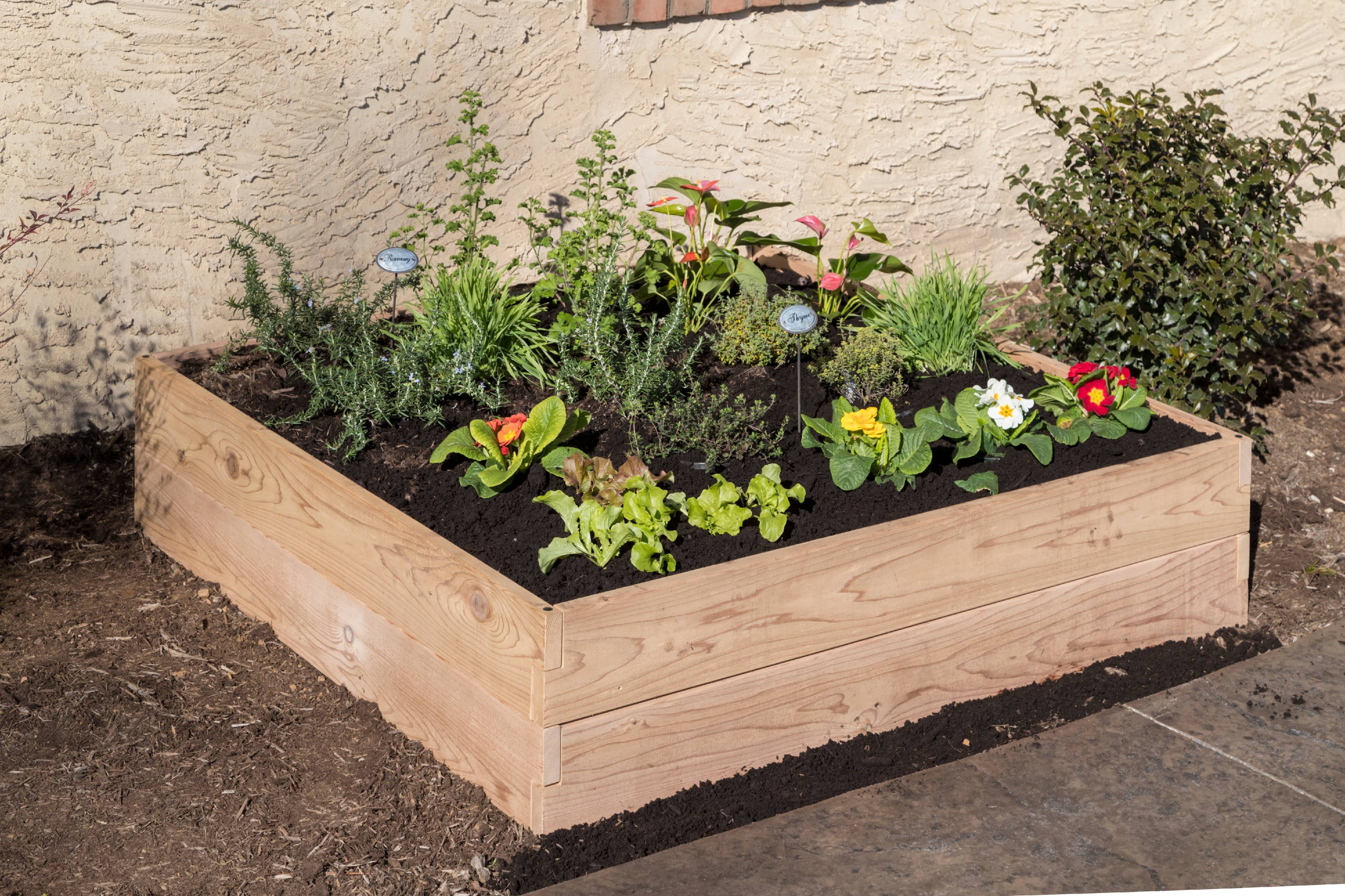 48" x 48" Raised Garden Bed