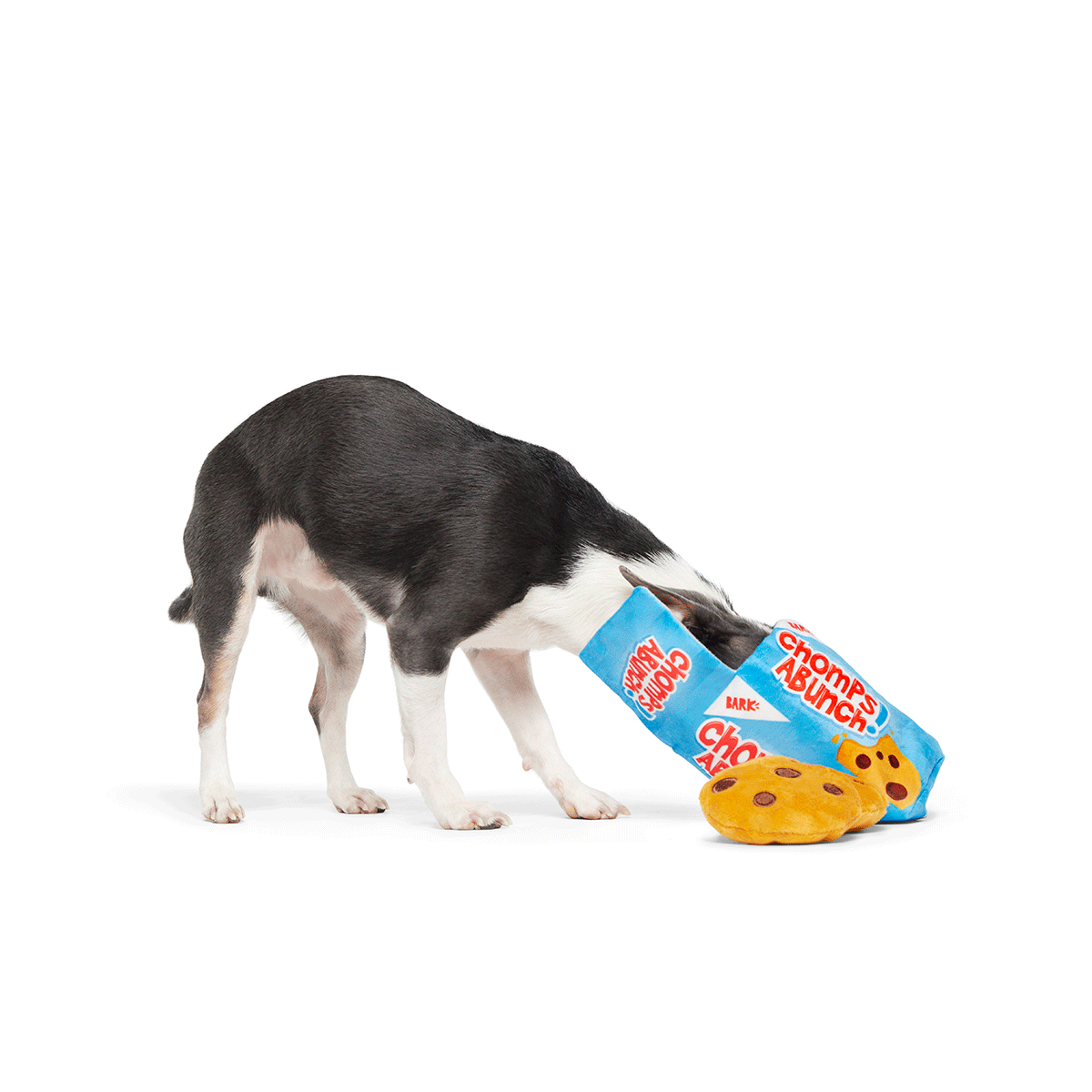 BARK Chomps Abunch Cookie Box Dog Toy photo 4