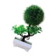 thumbnail image 2 of Jardinera Artificial Decorativa para Sala de Estar, Regalo para Exteriores, 2 of 9
