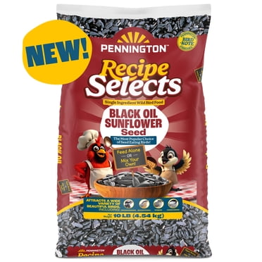 Pennington Select Black Oil Sunflower Wild Bird Seed and Feed