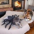 thumbnail image 1 of Traje Divertido Yinane Simulación Mascotas Negro Perro Trajes de araña negra, 1 of 8