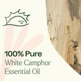 thumbnail image 5 of Plant Therapy White Camphor Essential Oil 10 mL (1/3 oz) 100% Pure, Undiluted, Natural Aromatherapy, 5 of 9