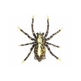 thumbnail image 1 of LUNKERHUNT LP LH PHANTOM SPIDER 2.25 1/2OZ FANG LSPIDER07, 1 of 1