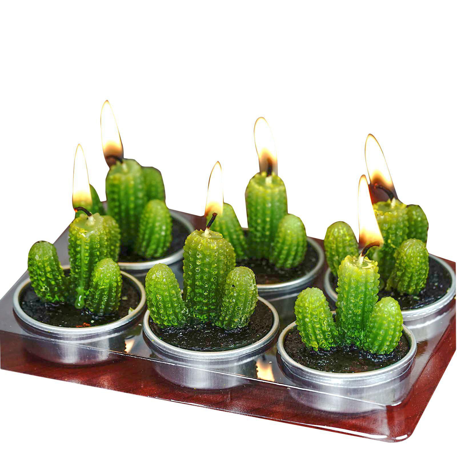 6 Pcs Cactus Tea Light Candles Handmade Delicate Succulent Candles Wax Candles 