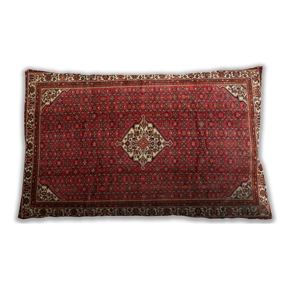 Ahgly Company Indoor Rectangular Traditional Lumbar Throw Pillow, 13 inch by 19 inch