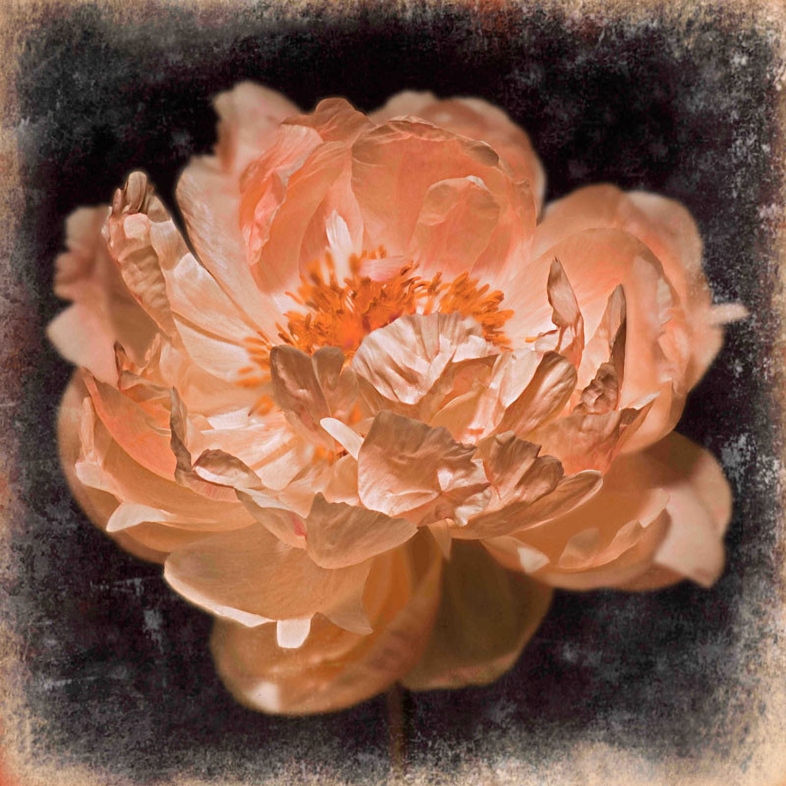 Marmont Hill "Peony's Rhythm" by Sia Aryai Painting Print on Canvas