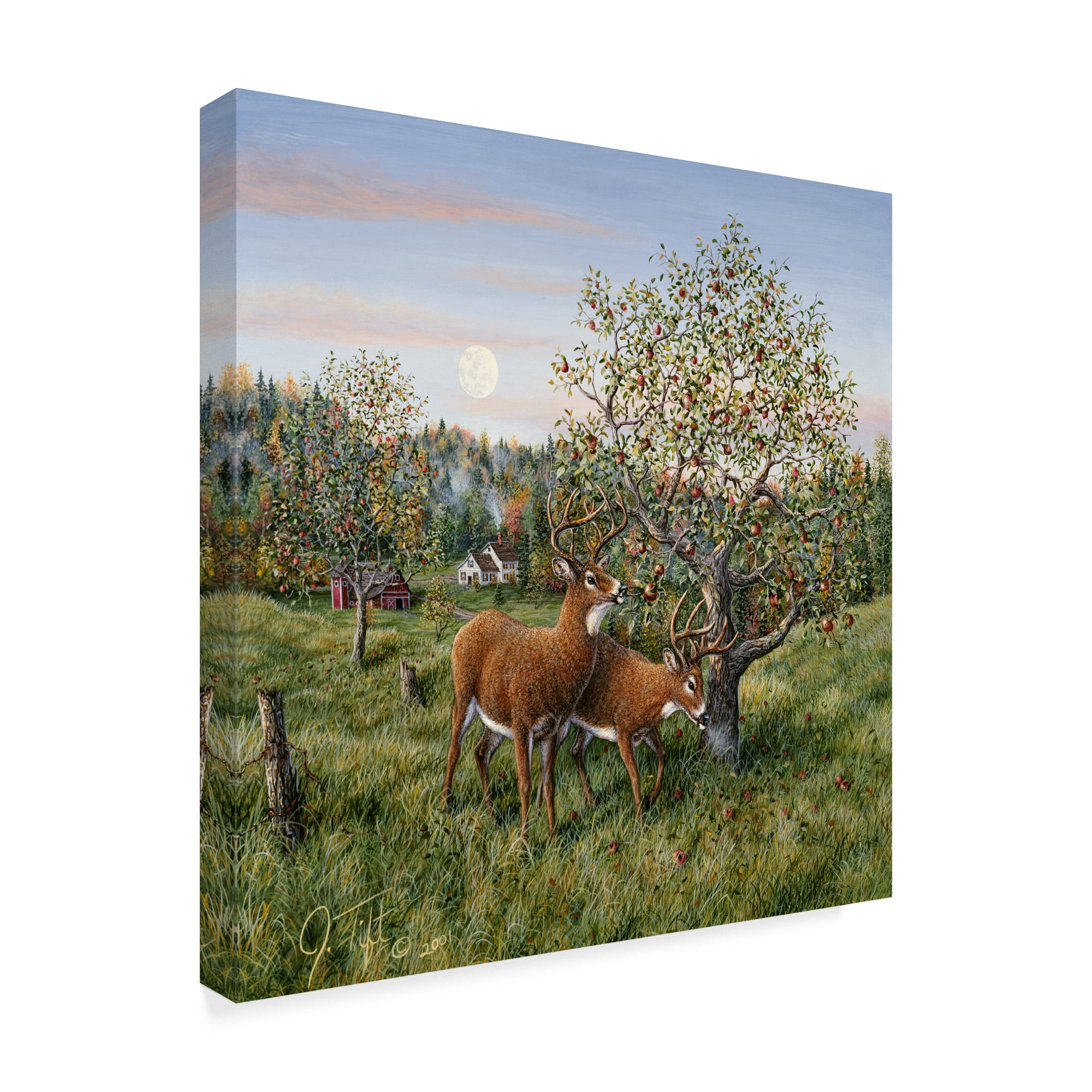 Trademark Fine Art 'Whitetails Under The Apple Tree' Canvas Art by Jeff Tift