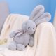thumbnail image 1 of 2023 Ins High Quality / Soft Bunny Plush Toy / Cute Makaron Rabbit Doll with Tie / Children's Birthday Giftgrey35cm Deng Xun unisex, 1 of 2