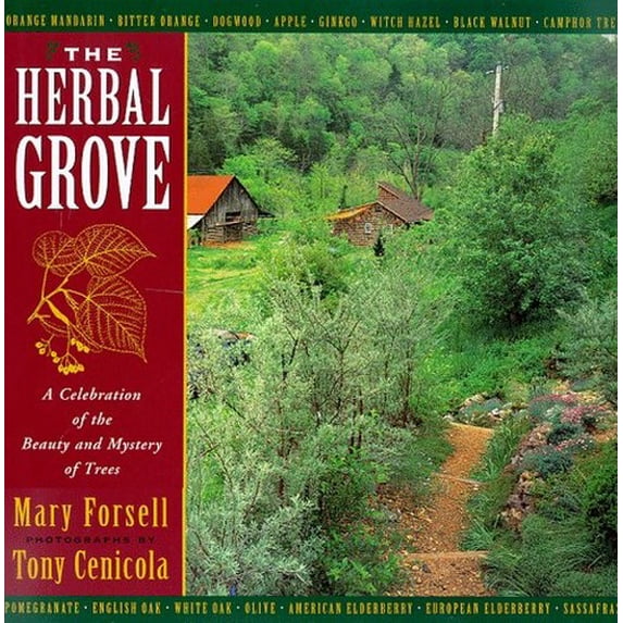 Pre-Owned The Herbal Grove: A Celebration of the Beauty and Mystery of Trees (Hardcover) 067940841X 9780679408413