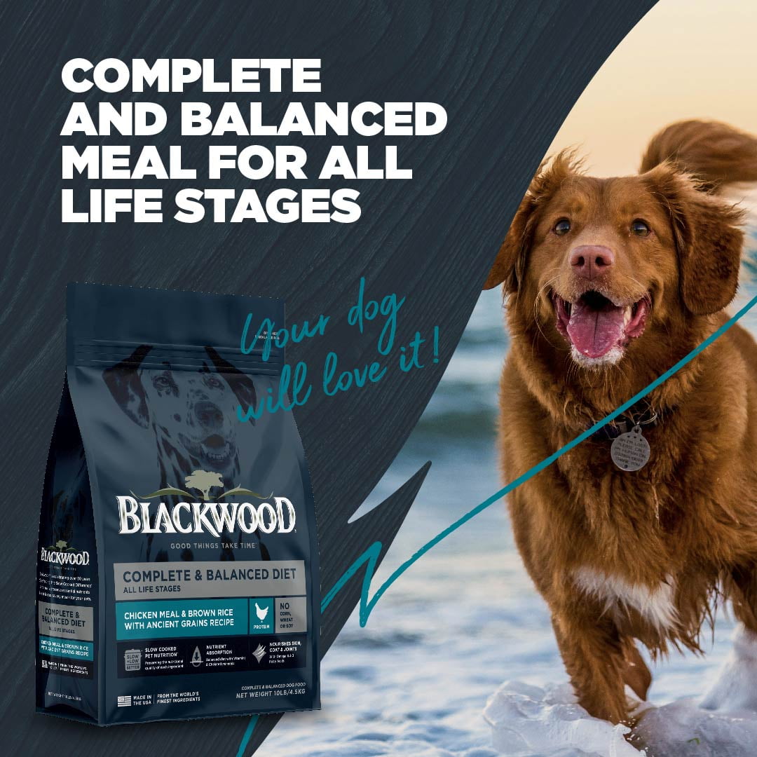 Blackwood Dry Dog Food Chicken Meal & Brown Rice with Ancient Grains 10 lb.