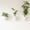 White-3, variant on Wall Planters Stone 6 Count Self-watering Vertical Garden For Indoor Plants